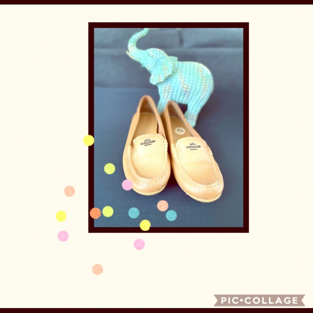 Coach Leather Loafers !